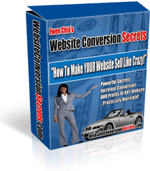 Website Conversion Secrets_boxcover_small